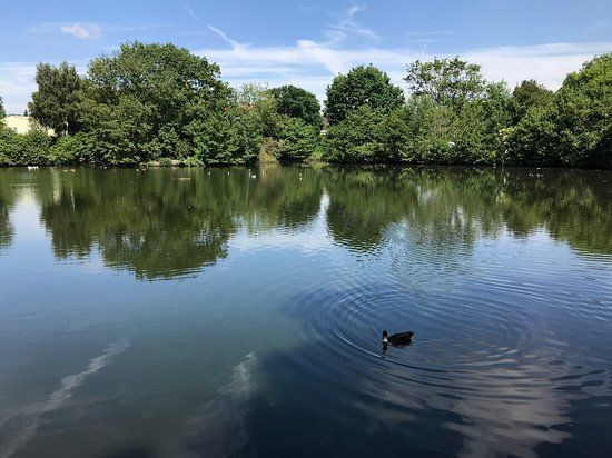 Tudor Grange Park
