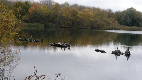 Sheepwash Local Nature Reserve