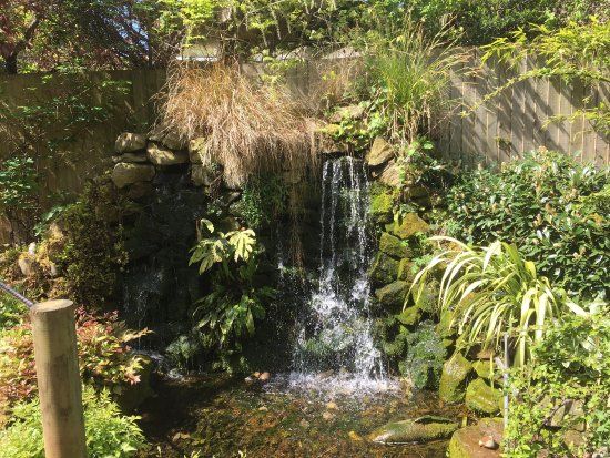 Whitlenge Garden Centre and Tea Rooms