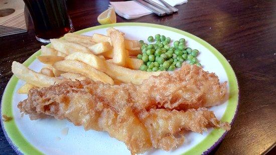 Hungry Horse