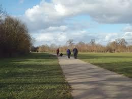 Lavender Hall Park