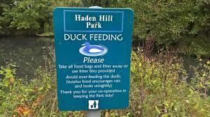 Haden Hill Park
