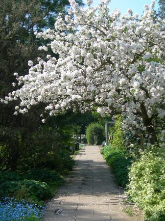 Martineau Gardens