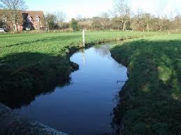 Smestow Brook